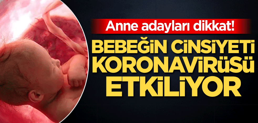 Anne adayları dikkat! Bebeğin cinsiyeti koronavirüsü etkiliyor