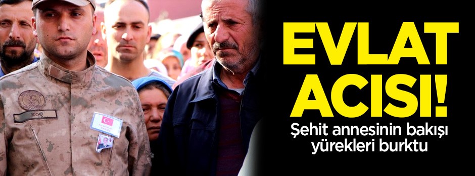 Annenin şehit oğlunun tabutuna bakışı yürekleri burktu