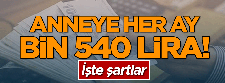 Anneye her ay bin 540 lira! İşte şartlar