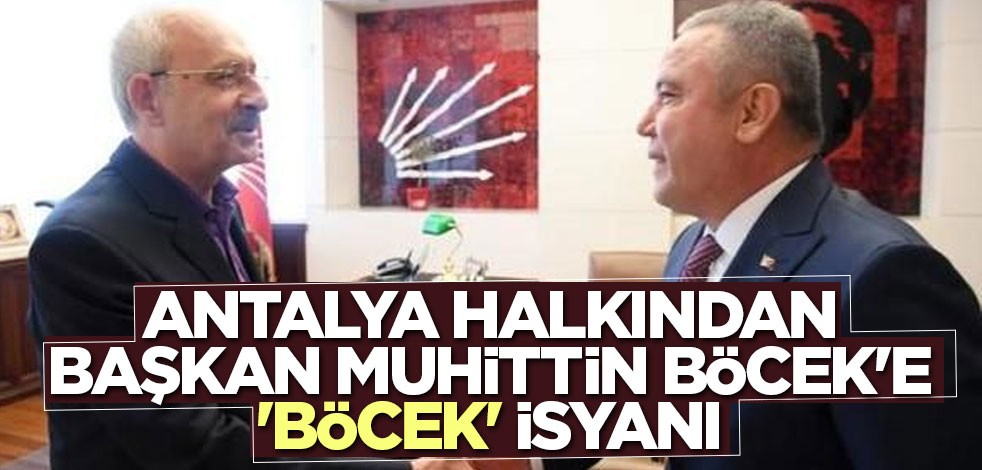 Antalya halkından CHP'li Başkan Muhittin Böcek'e 'Böcek' isyanı