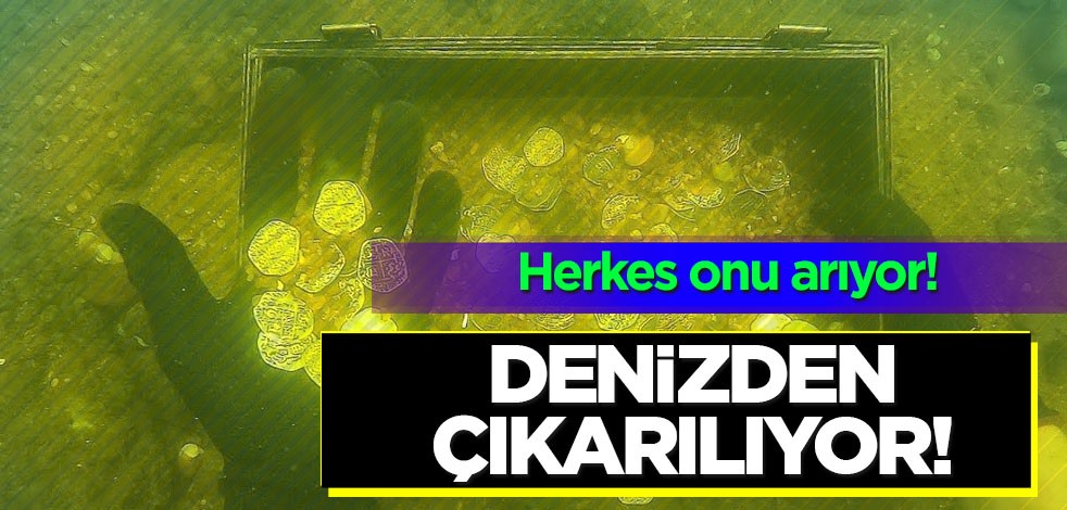 Antalya'da denizden 1 milyon TL çıkaracak: Herkes onu arıyor! Petrol, doğalgaz artık para etmeyecek
