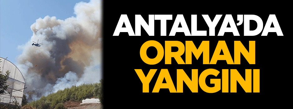 Antalya'da orman yangını