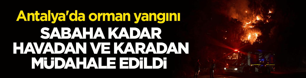 Antalya'da orman yangını! Sabaha kadar havadan ve karadan müdahale edildi 