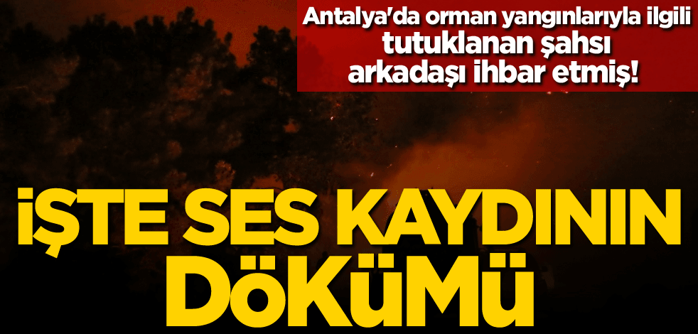Antalya'da orman yangınlarıyla ilgili tutuklanan şahsı arkadaşı ihbar etmiş! İşte ses kaydının dökümü