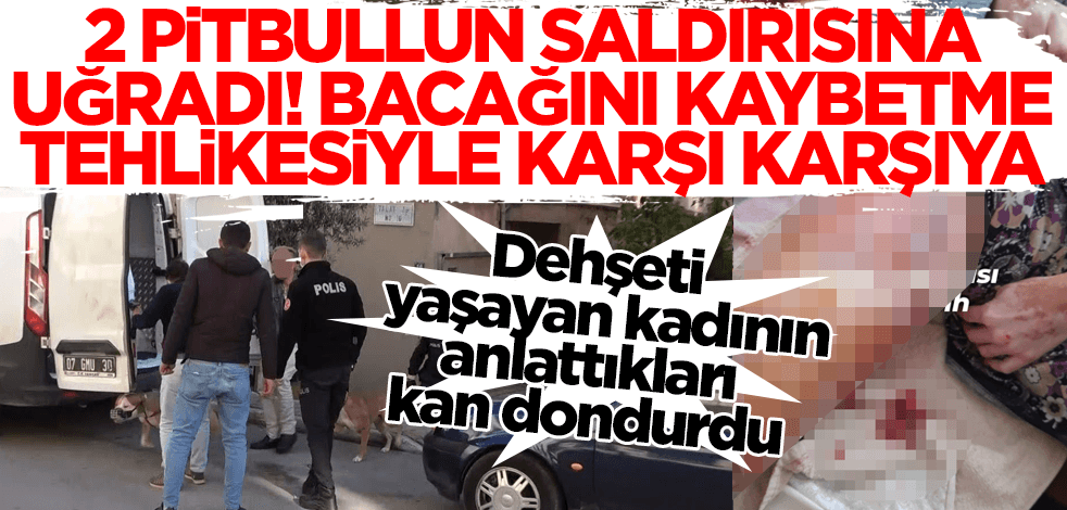 Antalya'da pitbull saldırısına uğrayan kadın bacağından olabilir! Yaşadığı dehşeti bu sözlerle anlattı