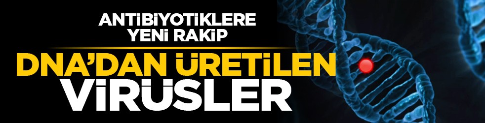 Antibiyotiklere yeni rakip: DNA’dan üretilen virüsler
