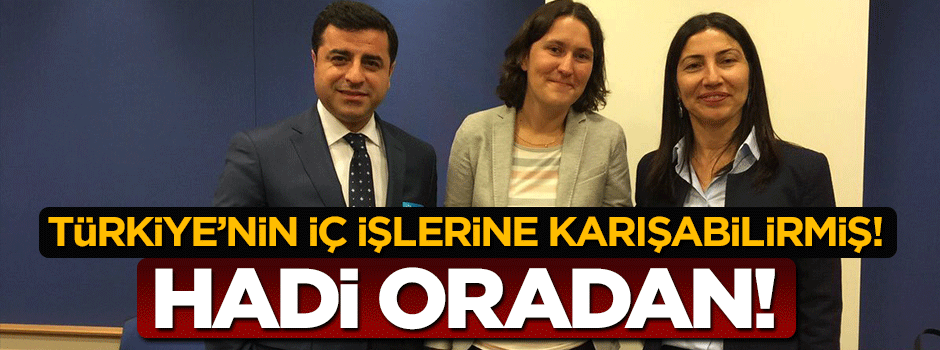 AP Türkiye Raportöründen haddini aşan sözler