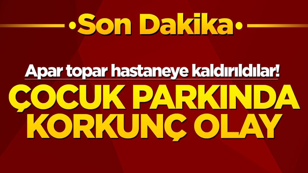 Apar topar hastaneye kaldırıldılar! Çocuk parkında korkunç olay