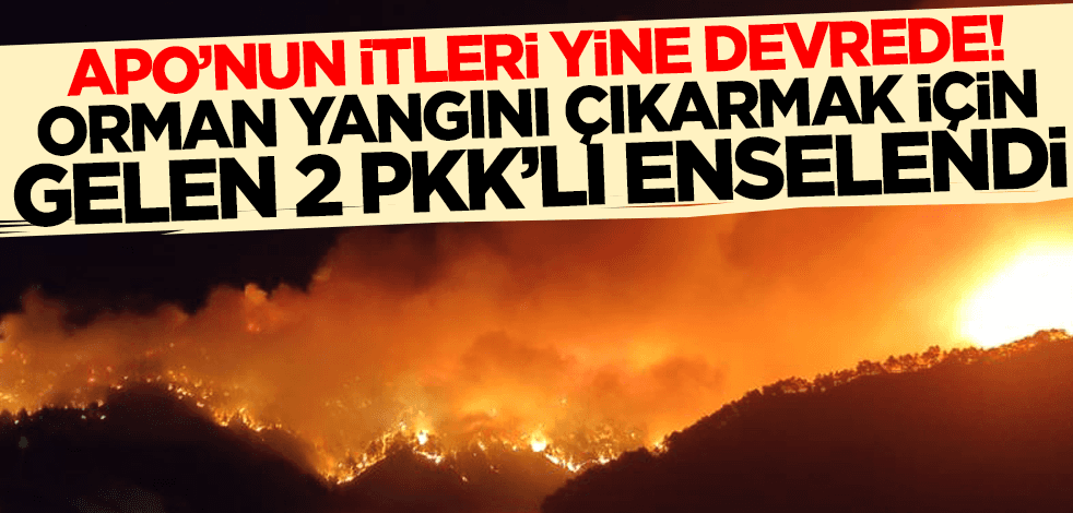 Apo'nun itleri yine devrede! Orman yangını çıkarmak için gelen PKK'lı teröristler enselendi