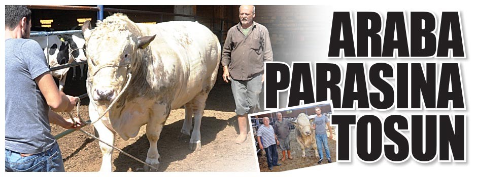 Araba parasına tosun