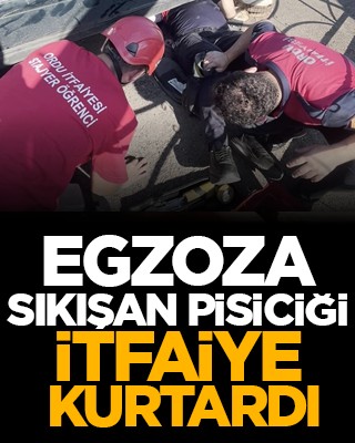 Araç sahibi son anda farketti: Egzoza sıkışan pisiciği itfaiye kurtardı