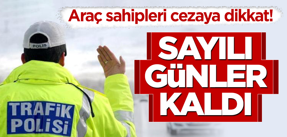 Araç sahipleri cezaya dikkat! Sayılı günler kaldı