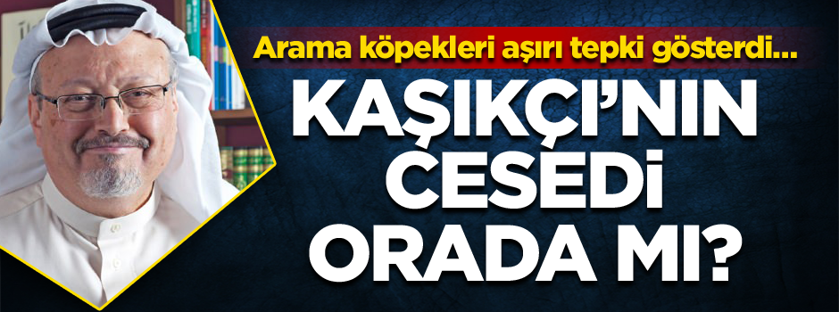 Arama köpekleri aşırı tepki gösterdi… Kaşıkçı’nın cesedi orada mı?