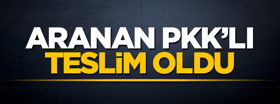 Aranan gri listedeki PKK'lı terörist teslim oldu