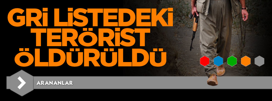 Arananlar listesinde gri grupta bulunan terörist öldürüldü