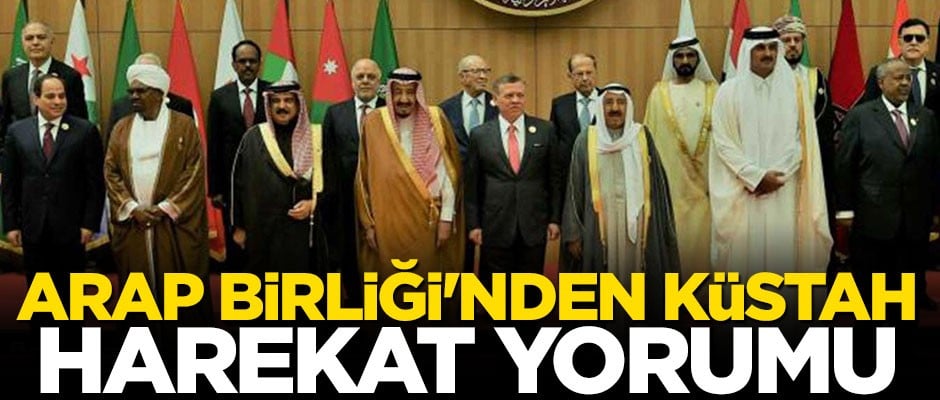 Arap Birliği'nden Barış Pınarı Harekatı'na ilişkin küstah yorum