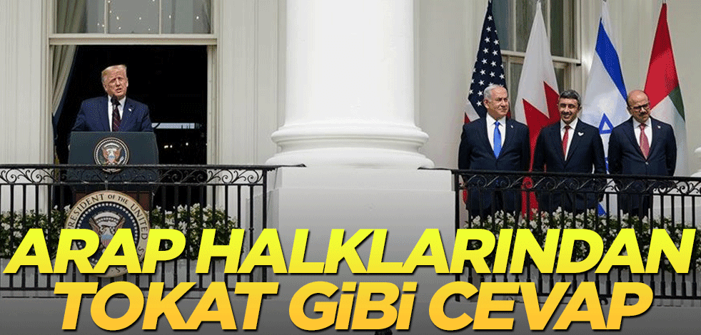 Arap halklarından tokat gibi cevap!