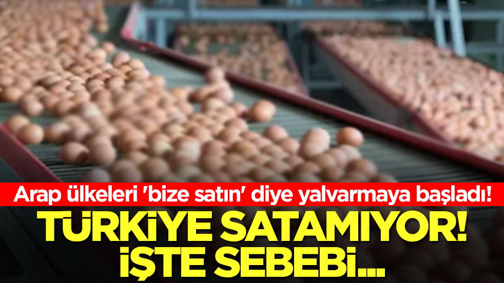 Arap ülkeleri 'bize satın' diye yalvarmaya başladı! Türkiye satamıyor, işte sebebi
