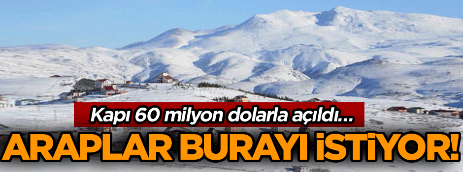 Araplar burayı istiyor! Kapı 60 milyon dolarla açıldı…