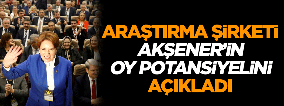 Araştırma şirketi Akşener’in oy potansiyelini açıkladı