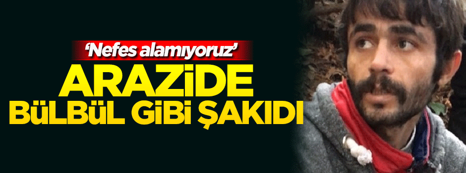 Araziye götürülen terörist bülbül gibi şakıdı
