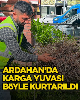 Ardahan’da karga yuvası böyle kurtarıldı