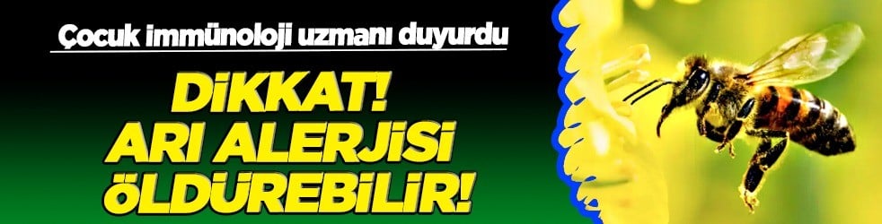 Arı alerjisi: Bu belirtilerden biri bile varsa dikkat... Çocuklar ve yetişkinler arasındaki farkları anlamak kolay