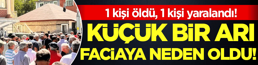 Arı faciaya neden oldu: 1 kişi öldü, 1 kişi yaralandı!