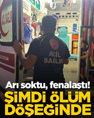 Arı soktu, fenalaştı! Şimdi ölüm döşeğinde