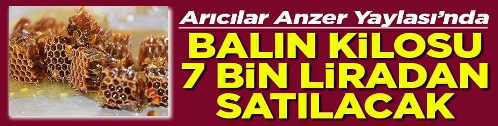 Arıcılar Anzer Yaylası’nda Balın kilosu 7 bin liradan satılacak