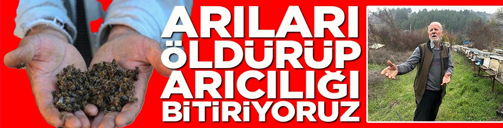 Arıları öldürüp arıcılığı bitiriyoruz
