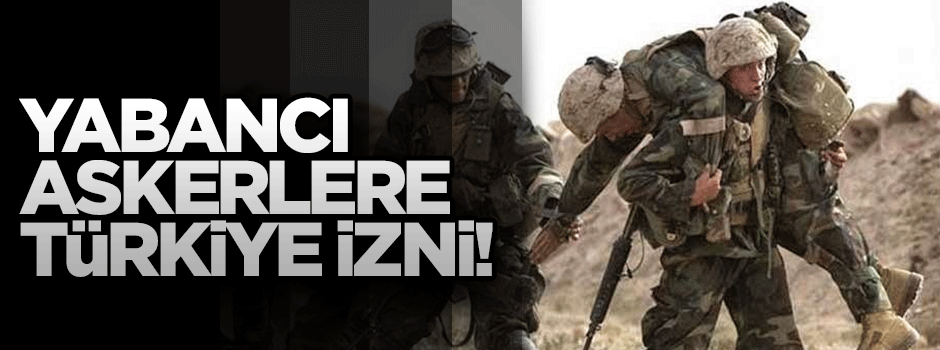 Arınç: Yabancı askerler Türkiye'den geçebilecek