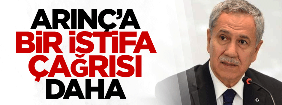 Arınç'a bir istifa çağrısı daha