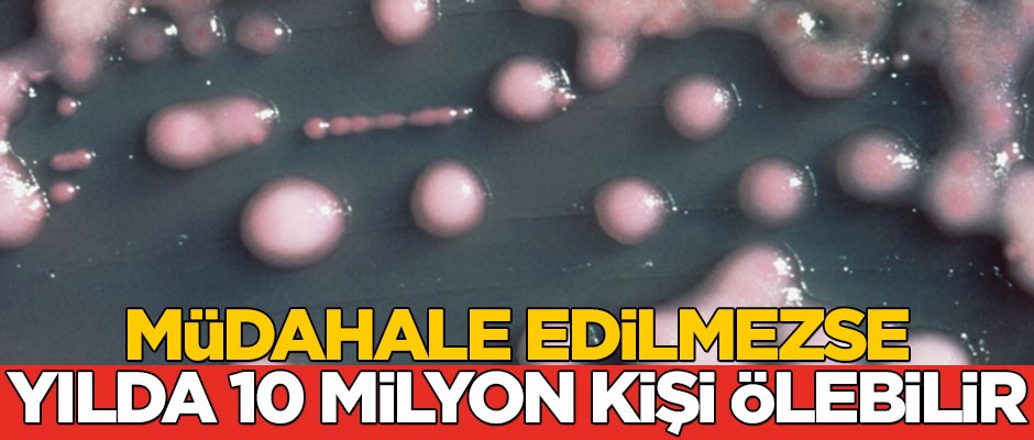 Arktik'te ortaya çıktı! Müdahale edilmezse yılda 10 milyon kişi ölebilir