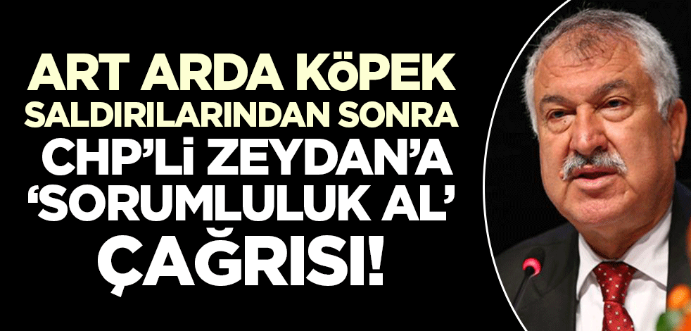 Art arda iki köpek saldırısı Adana'yı ayağa kaldırdı! AK Partili Doğru'dan CHP'li Zeydan'a sorumluluk alma çağrısı!