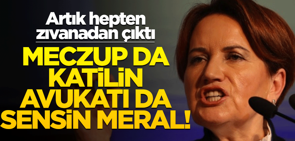 Artık hepten zıvanadan çıktı… Meczup da katilin avukatı da sensin Meral!