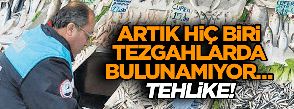 Artık hiç biri tezgahlarda bulunamıyor… Tehlike!