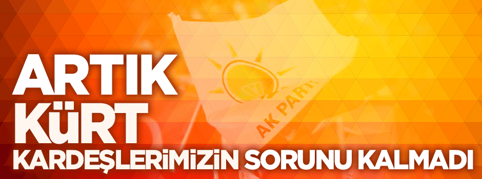 'Artık Kürt kardeşlermizin sorunu kalmadı'