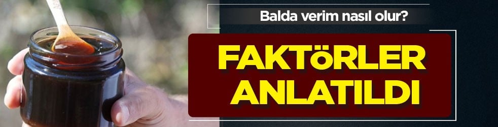 As balda büyük verimi kaybetmeyi istemiyorsanız bakım için müthiş uyum burada: Sistem çöktü, çok büyük darbe vurgusu 