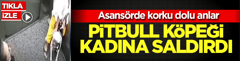 Asansörde korku dolu anlar: Ağızlıklı pitbull kadına saldırmaya çalıştı