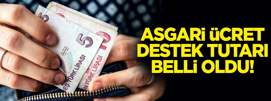 Asgari ücret destek tutarı açıklandı! 180 Lira olacak