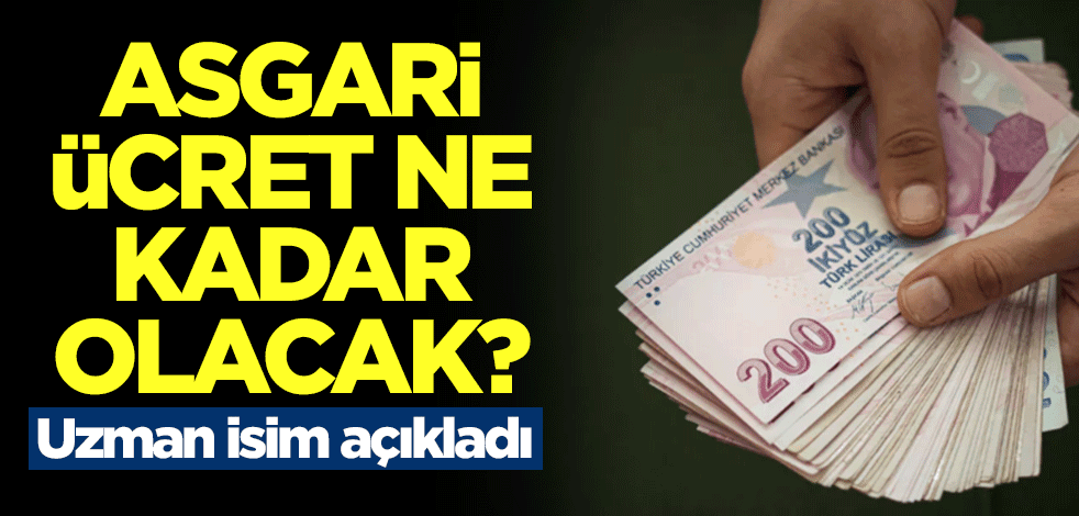 Asgari ücret ne kadar olacak? Uzman isim açıkladı