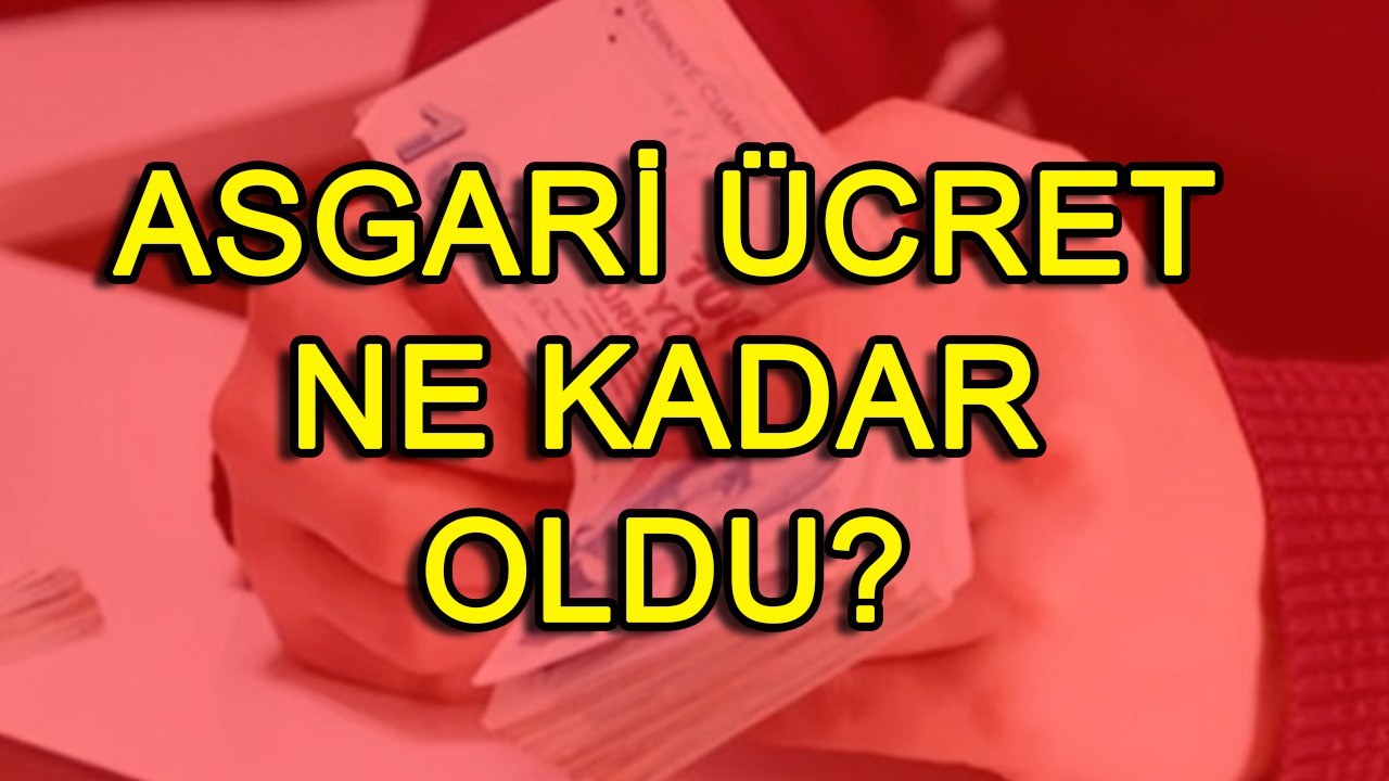 Asgari ücret ne kadar oldu?