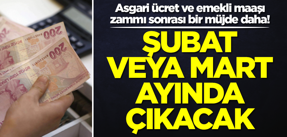 Asgari ücret ve emekli maaşı zammı sonrası bir müjde daha! Kulisler çalkalanıyor: Şubat ve Mart ayı gibi...