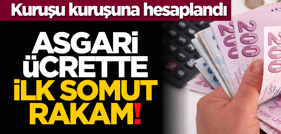 Asgari ücrette ilk somut rakam! Kuruşu kuruşuna hesaplandı
