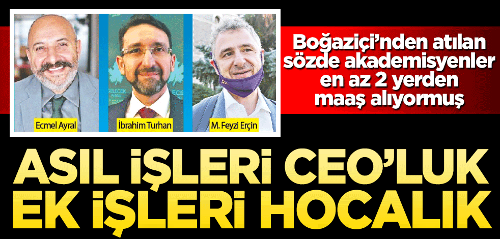Asıl işleri CEO’luk ek işleri hocalık!