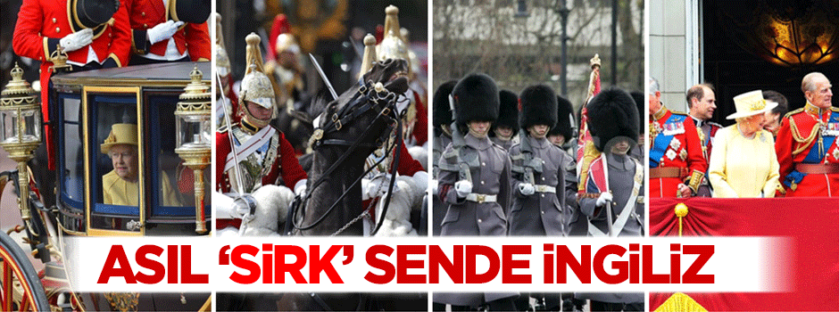 Asıl sirk sende İngiliz