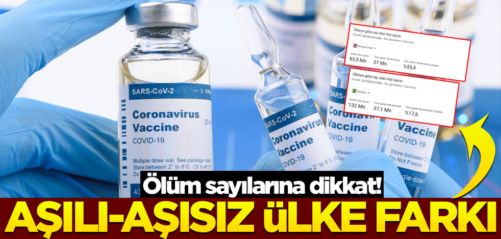 Aşılı ve aşısız ülke farkı... Ölüm sayılarına dikkat!