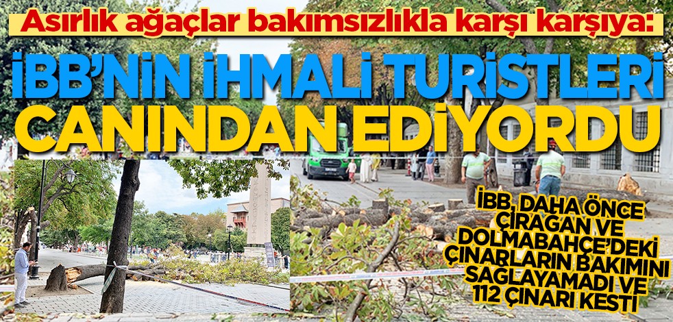 Asırlık ağaçlar bakımsızlıkla karşı karşıya: İBB'nin ihmali turistleri canından ediyordu
