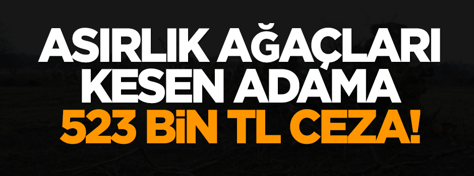 Asırlık ağaçları kesen adama 523 bin TL ceza